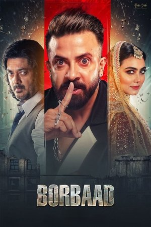 Borbaad movie free download shakib khan
